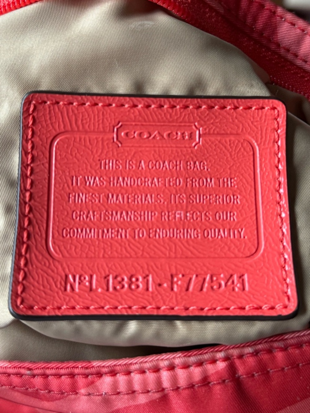 Coach Devin Zebra Pattern Nylon Crossbody Bag F77541 - Picture 2 of 13